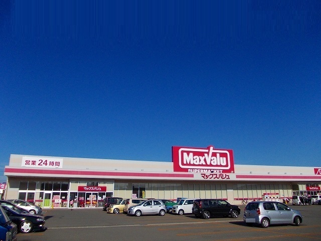 スーパー　マックスバリュ　港北店（スーパー）まで1100m
