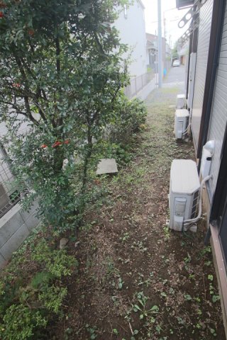 庭