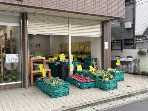 スーパー　藤巻青果店（スーパー）まで442m