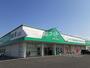 ドラックストア　ザグザグ　白石店（ドラッグストア）まで247m