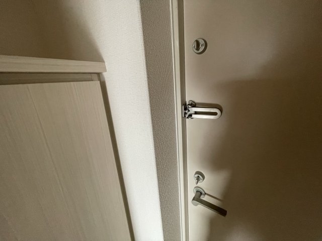 玄関　イメージとして同建物他部屋を表示しています