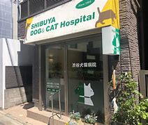 病院　渋谷犬猫病院（病院）まで170m