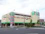 ドラックストア　サンドラッグ東寺方店（ドラッグストア）まで1062m