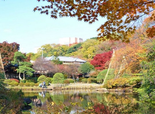 公園　新江戸川公園（公園）まで1404m