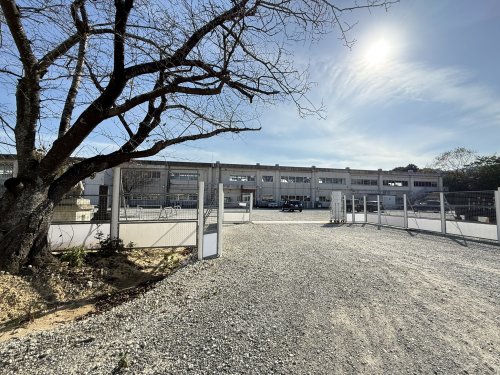小学校　田原市立童浦小学校（小学校）まで1084m