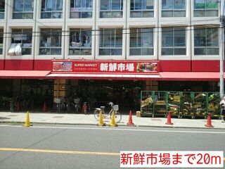 メイフェア ベルの周辺写真
