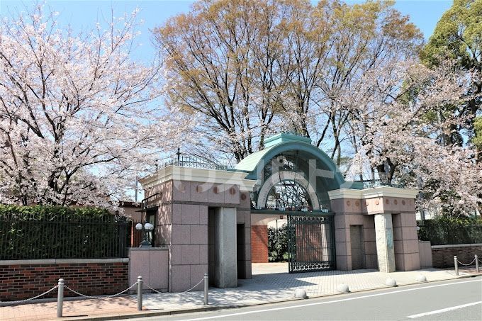 中学校　私立淑徳中学校（中学校）まで1440m