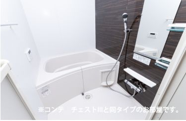バス・シャワールーム　同タイプの部屋の写真となります。