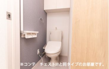 トイレ　同タイプの部屋の写真となります。