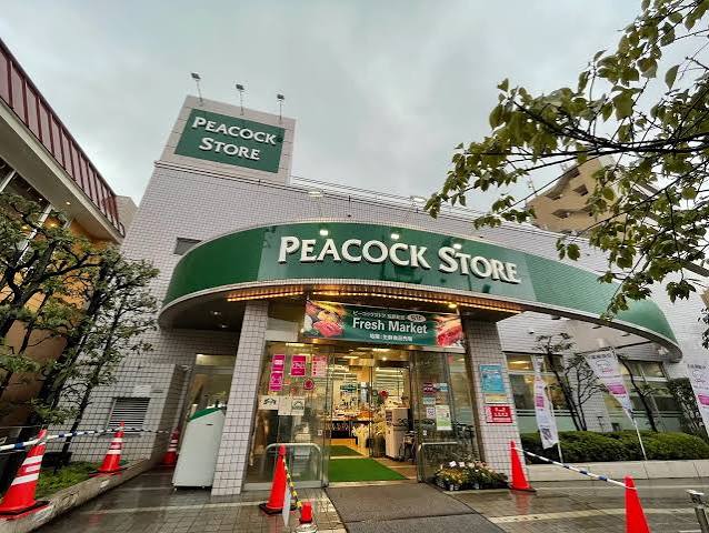 東急田園都市線 桜新町駅 徒歩7分 2階建 築9年の周辺写真