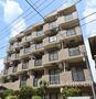 ライオンズマンション大山金井町 1階 築34年11ヶ月の賃貸物件