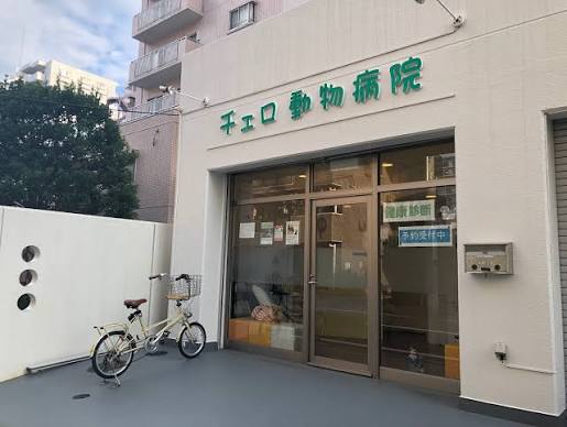 SASONの周辺写真