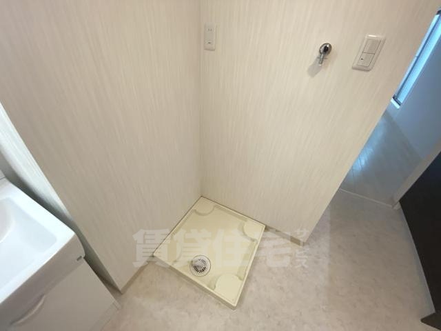 カメリアのその他写真