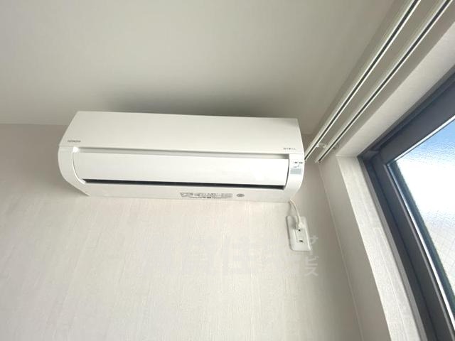 カメリアのその他写真