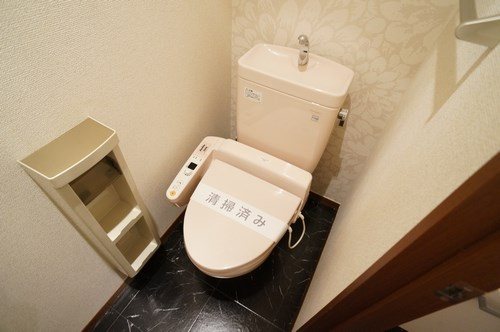 シャーメゾンフィオーレBのトイレ写真
