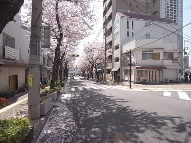 【神戸市灘区原田通のマンションのその他】