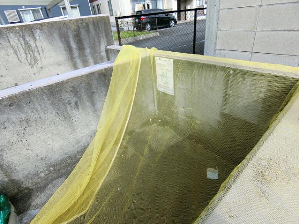 その他　敷地内ごみ置き場