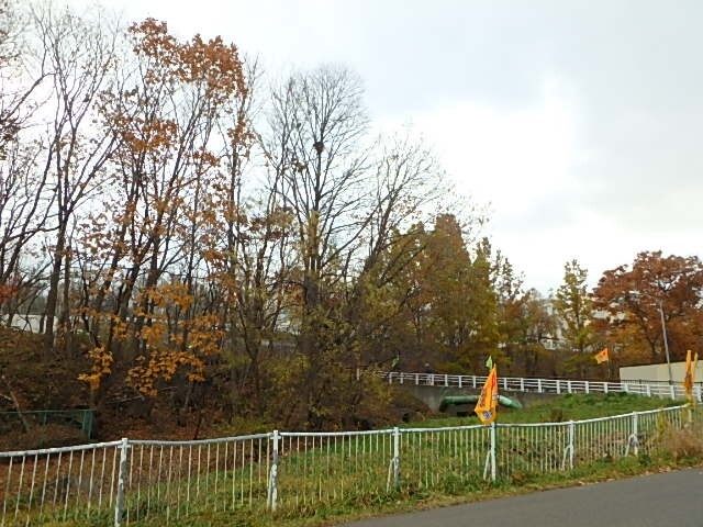 小学校　札幌市立手稲宮丘小学校（小学校）まで883m