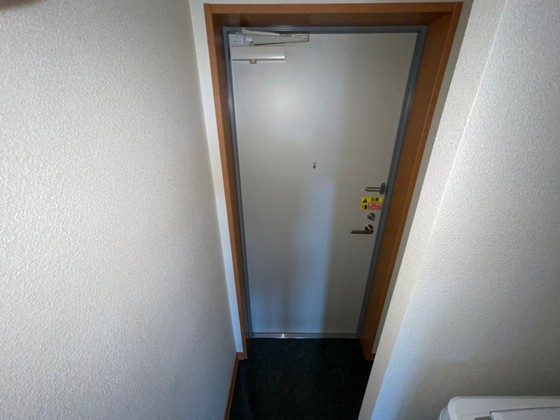 玄関　※別部屋の写真です