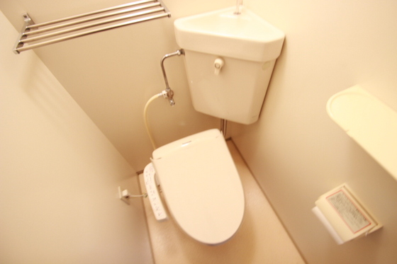 トイレ　※別号室の写真です