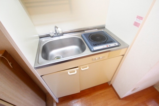 キッチン　※他号室の写真です。