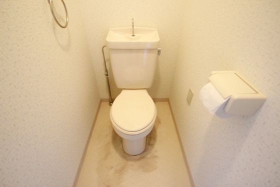 トイレ　※他号室の写真です。