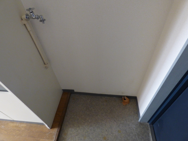 玄関　写真は203号