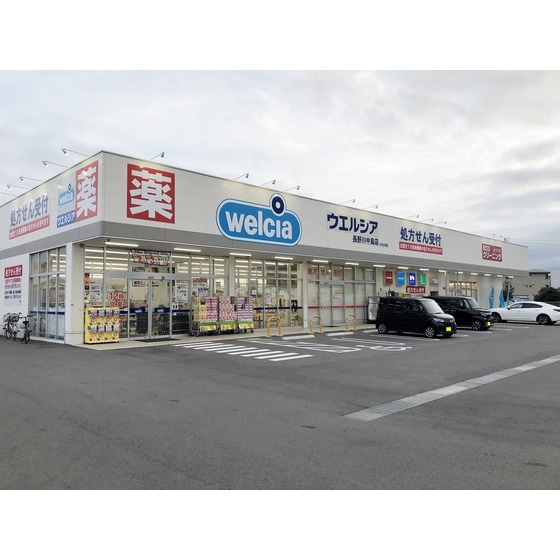 ドラックストア　ウエルシア長野川中島店（ドラッグストア）まで285m