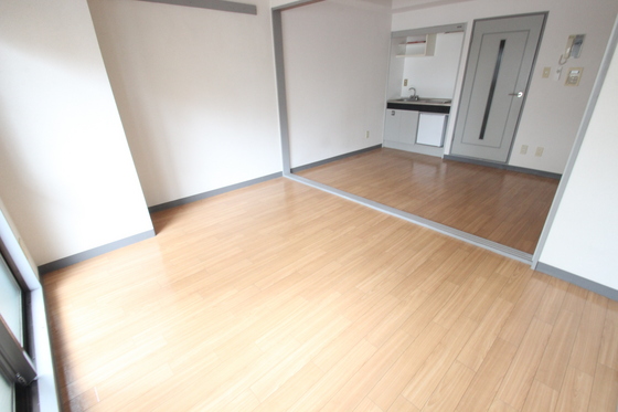 居室・リビング　※別部屋の写真です