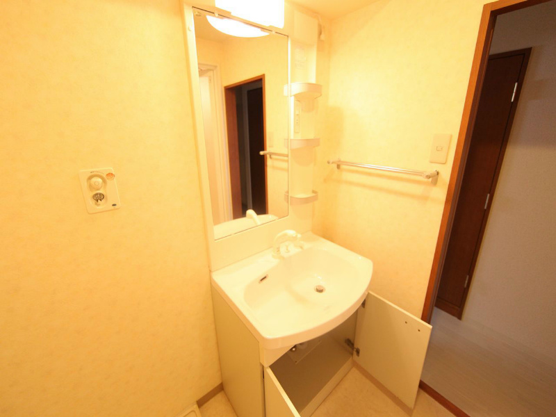 洗面設備　脱衣所　独立洗面台（シャンプードレッサー付）収納スペース有