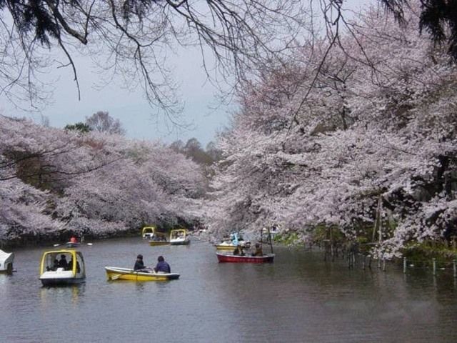 公園　井の頭公園（公園）まで638m