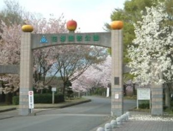 公園　花畑公園（公園）まで1219m