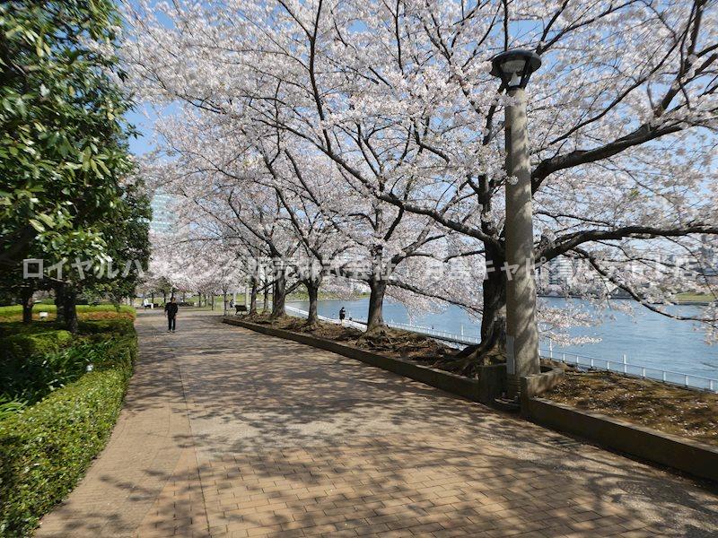 その他　エントランス迄のアプローチは緑豊かです！