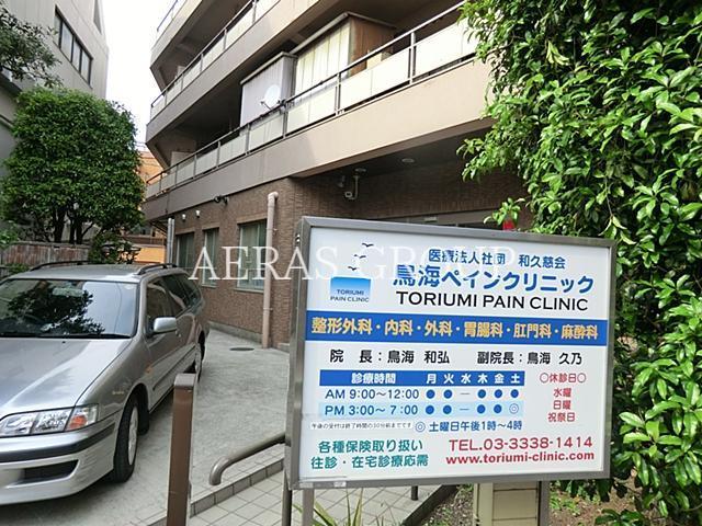 病院　鳥海ペインクリニック（病院）まで245m