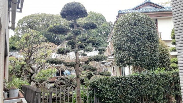 眺望