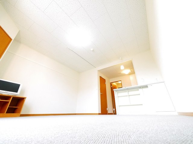 居室・リビング　ゆったりとした居間です