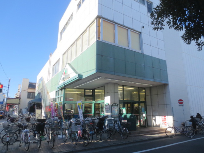 スーパー　マルエツ（スーパー）まで300m