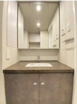 洗面設備　同タイプ部屋　参考写真です