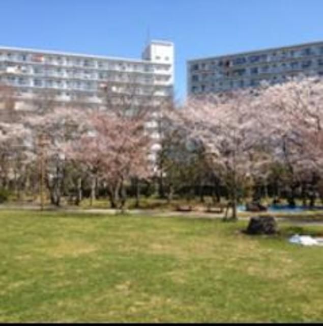 公園　若潮公園（公園）まで732m