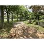 公園　松山公園（公園）まで539m