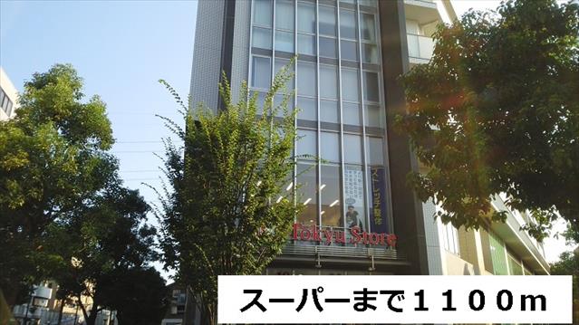 スーパー　スーパー（スーパー）まで1100m