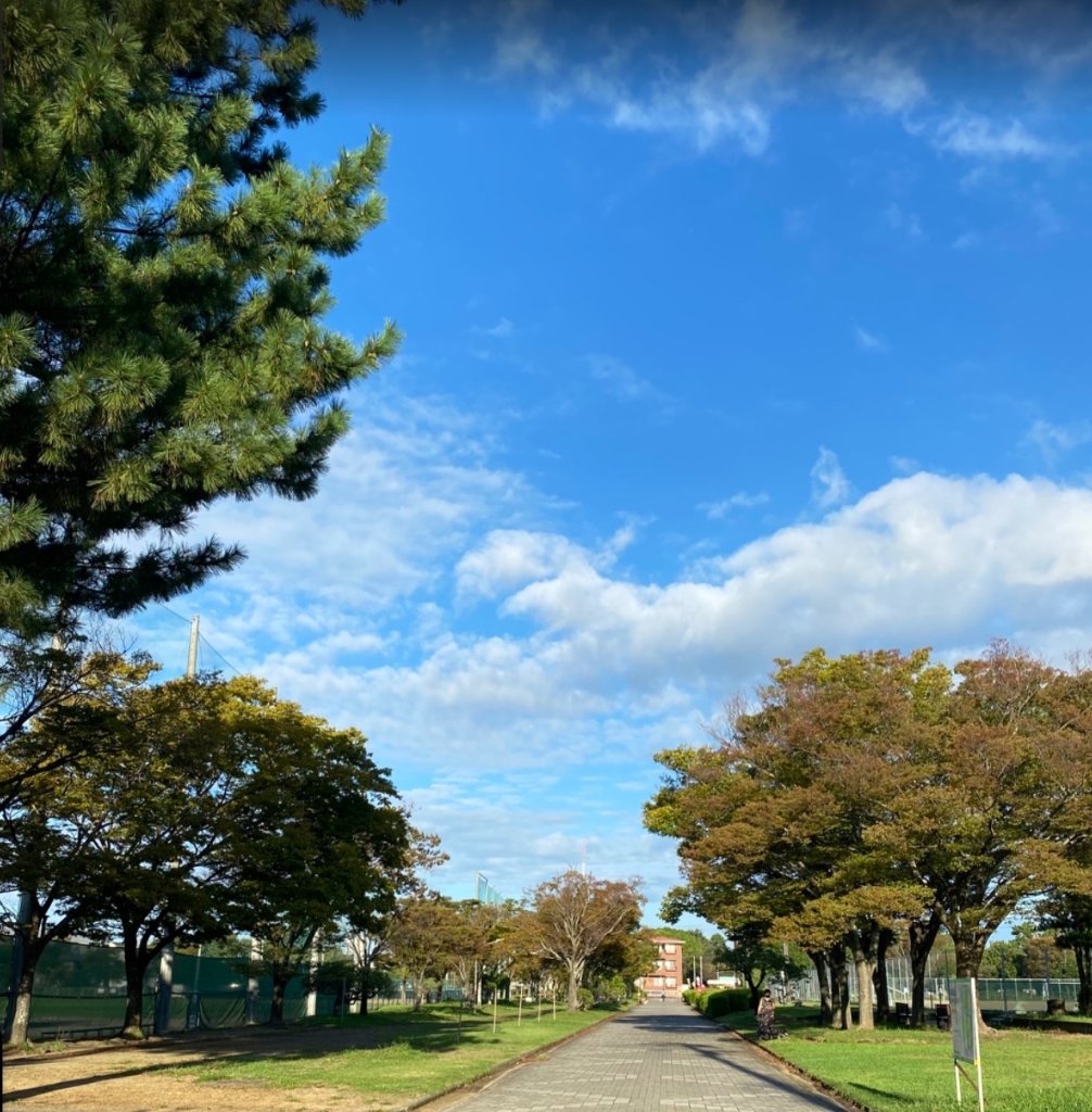 公園　和地山公園（公園）まで926m
