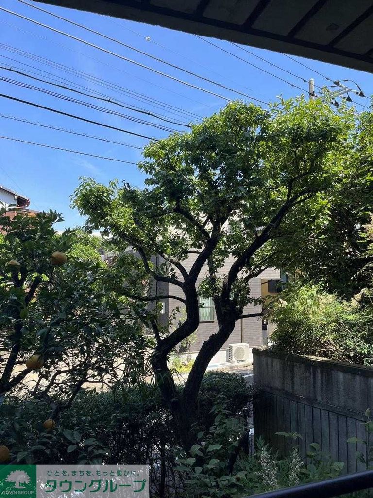 眺望