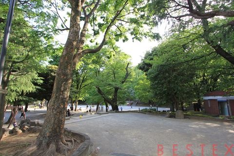 公園　大塚公園（公園）まで687m