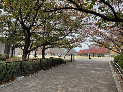 公園　御崎公園（公園）まで1712m