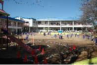 幼稚園・保育園　ひばり幼稚園（幼稚園・保育園）まで271m