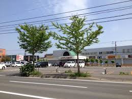 スーパー　ホクレンショップ前田店（スーパー）まで1533m
