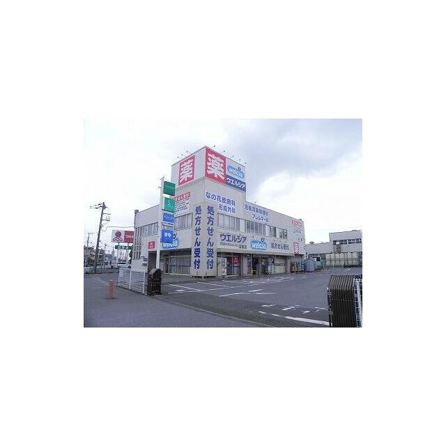 その他　ウェルシア 沼南店（その他）まで1247m