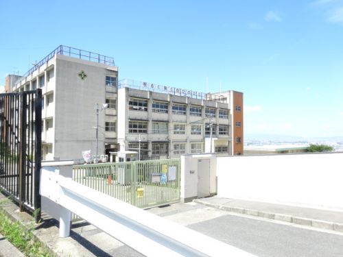 小学校　石切東小学校（小学校）まで506m