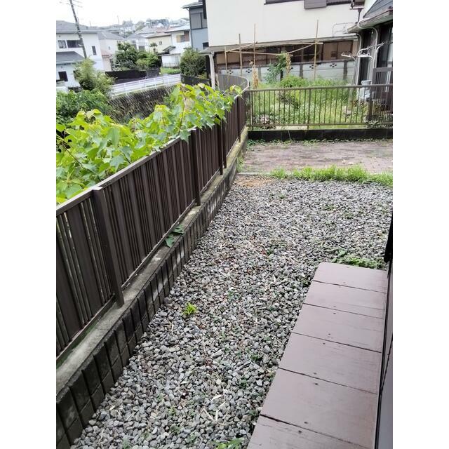 庭